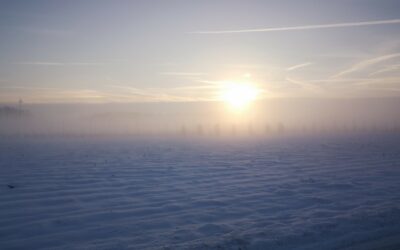 Achtung: Distanzunterricht am Montag (12.1.26) für alle Klassen und Kurse