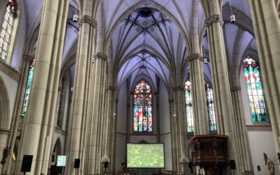 „Die Superorgel“– Stufen 5/6 besuchen Orgelprojekt in St. Cornelius